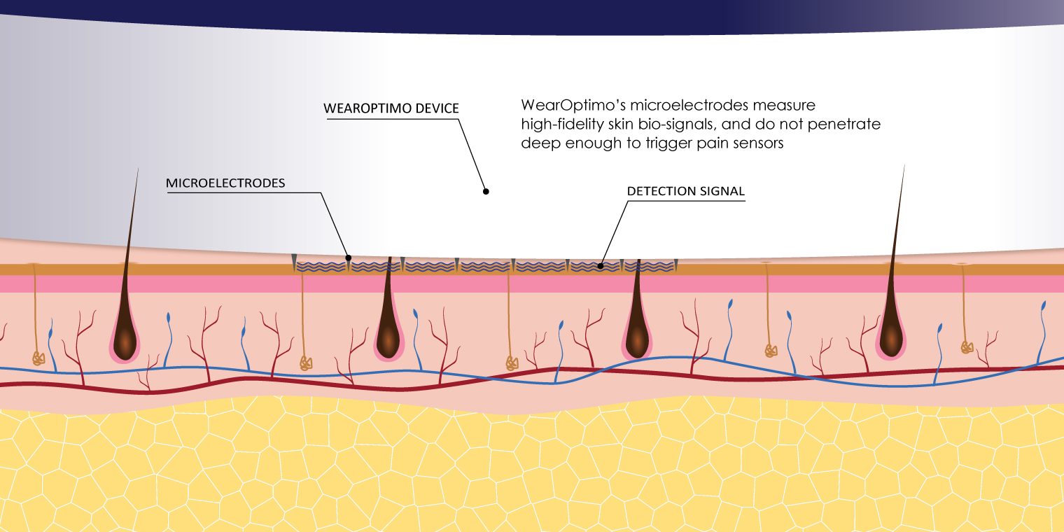 Dermis-illustration-all-with-tags02